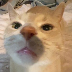 Meet your Posher, Gary iii